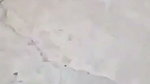 sex caught in public cottage
