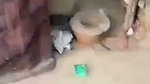 sex caught in public cottage