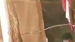 sex caught in public cottage