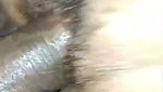 VID 20260522 WA0013
