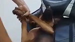 sex with dog