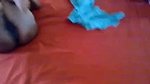 Bhabhi boobs press give Blowjob  fuck