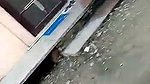 Boyfriend caught his gf fucking with someone else