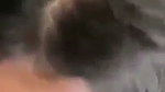 Nepali lady giving Blowjob
