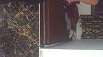 Sexy couple having fun