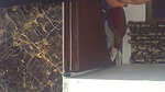 Sexy couple having fun
