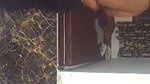 Sexy couple having fun