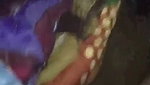 Sexy lady give Blowjob to husband cock