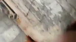 mallu girl blowjob and fuck by boyfriend full collection