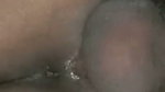 1000225196