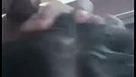 Punjabi wife titsjob and doggytyle fucking