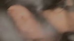 Beautiful Girl Hard Mouth Fucking Black Dick
