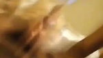 Malaysian Young Lovers Handjob  Fucking mms
