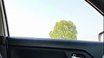 Car driving showing her dick to aunty