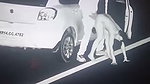 viral ex bjp member highway public sex tape