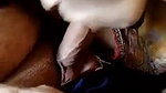 Married saali give Blowjob to his jija
