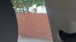 Drunk Indian girl nude in streets in day time viral MMS