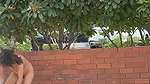 Drunk Indian girl nude in streets in day time viral MMS