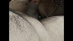 chubby wife riding on huge dick