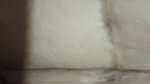 1000225823