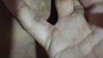 1000225822