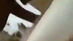 Boyfriend pressing boobs  licking gf pussy