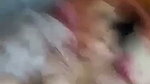 Chennai girl fucking hard on bed with lover