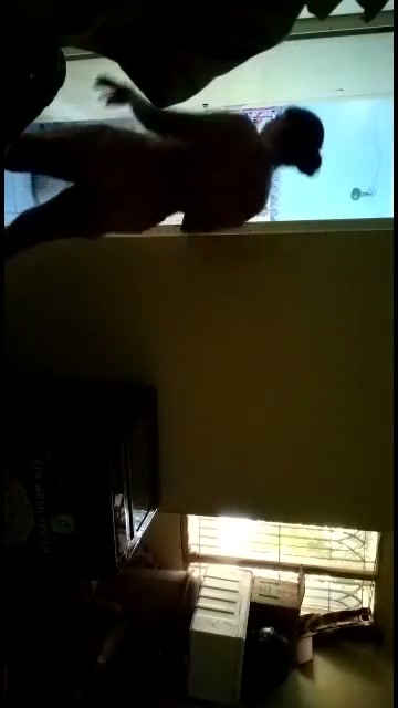 Frame 4