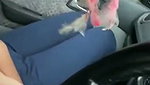 Cute Babe Boobs Pressed in Running car