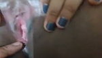 Desi Bengali Babe Asshole Captured And Pussy