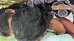Outdoor Multiple Fun Smooching And boobs Sucking