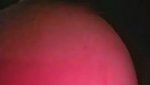 Pankhuri Pussy Sex In Riding Car Mms