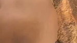 Punjabi Girl Fucked Outdoor In Doggy Leaked Viral