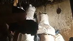 Rajasthani Bhabhi Illegal Fucking by Devar