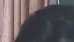 Update Cute Desi GF Sanjana New Latest Exclusive