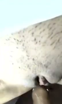 Frame 9