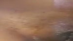 Girl give big penis Blowjob  fuck