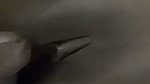 Girlfriend give Blowjob  try to fuck her in ass