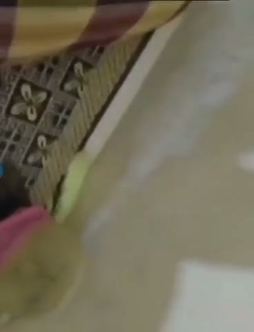 Frame 5