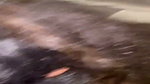 Tamil aunty give Blowjob  showing her asshole