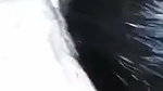 Girlfriend fuck in Doggy  riding bf cock