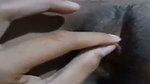 Stepsister fuck his big brother