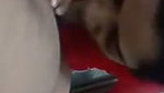 Stepsister give Blowjob  fuck with neighbour brother