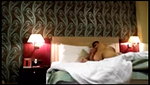 Delhi Couple Honeymoon Night – Movies