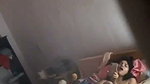 Horny village cousin sister fingering while watching porn first time