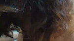Curly Hair Sexy Girl Hard Doggy Fuck