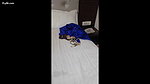 Indian Girl Filmed Naked – Movies