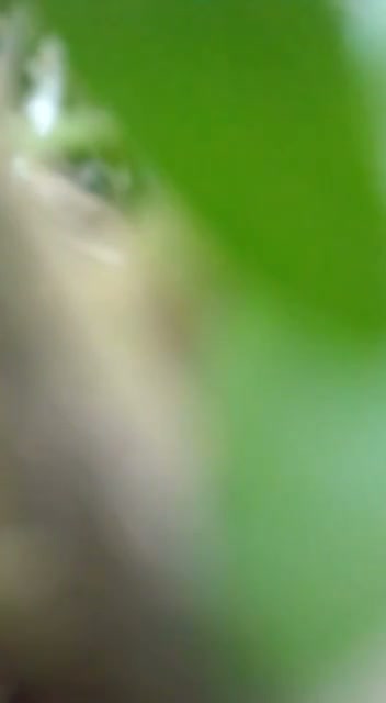 Frame 3