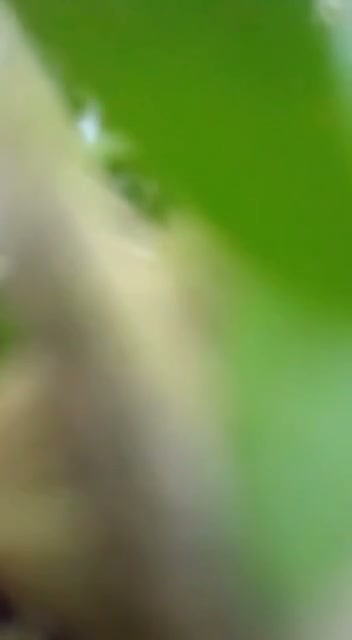 Frame 4