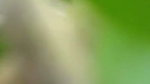 Desi Milf Bhabhi Outdoor Fucking Video